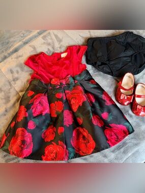 The Children's Place Red Velvet & Black Floral Party Dress